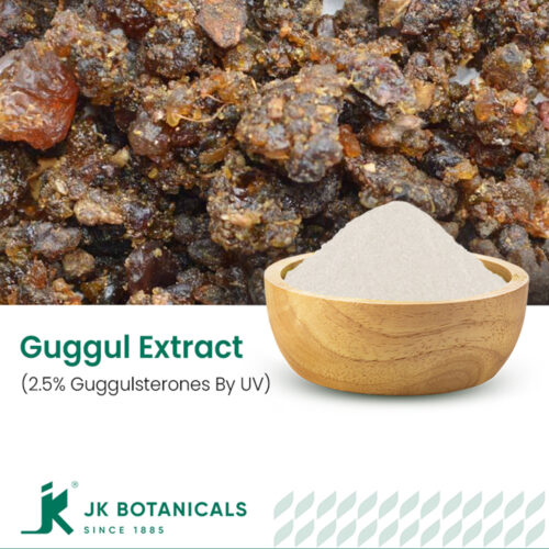 1-2 Taste JK Botanicals - Guggul Extract 2.5% Guggulsterones By UV in wooden bowl with raw guggul resin beside